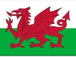 Welsh Dragon Magnet
