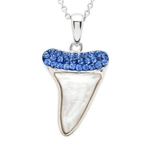Shark Tooth Necklace