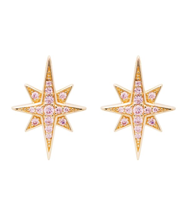 Gold Vermeil Bethlehem Star Earrings Pink