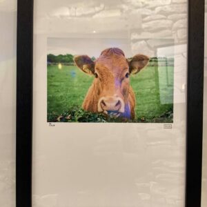 Framed Rua Print