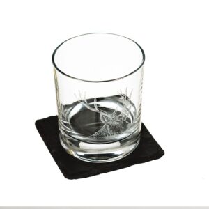 Glass Tumbler & Coaster Set Stag