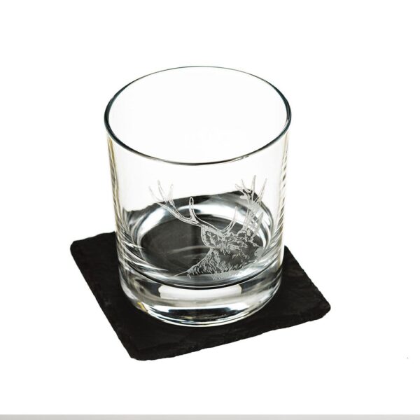 Glass Tumbler & Coaster Set Stag