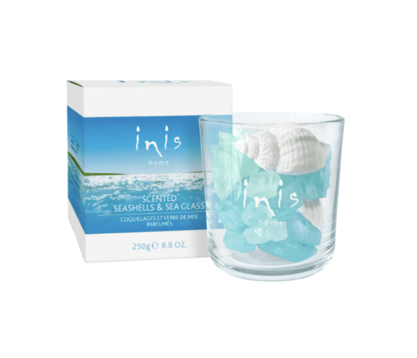 alt= a scented seashell Inis scent diffuser