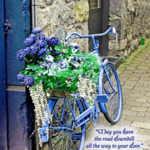 Card Bicycle Well Wishes 105G