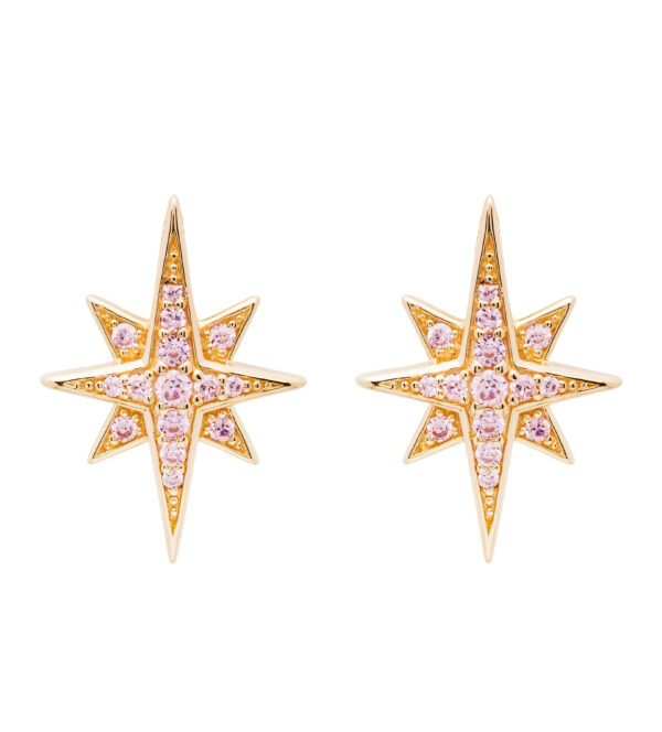 Earrings Stud Beth Pink Star GV68