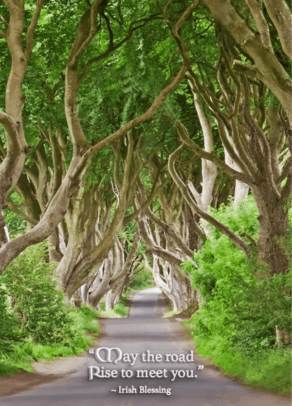 Card Birthday Dark Hedges IW-235